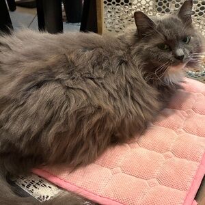 Happy thanksgiving 🦃